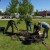  Memorial donations make way to plant trees on park anniversary